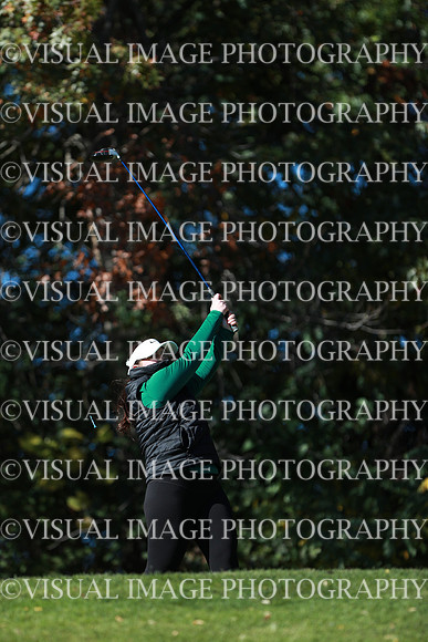 WIGFG_24_F20041