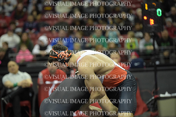 WIIWR25_215_11016