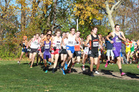ILXC_14_30013