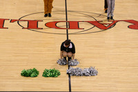 TDIHS12_POM_14003