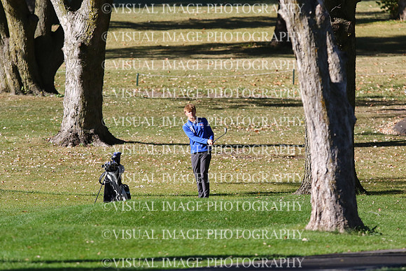 ILGF_24_T208009