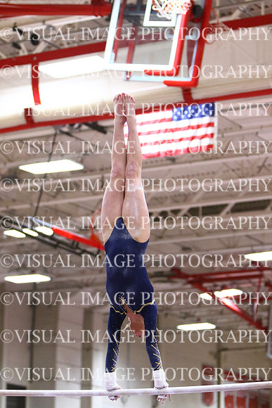 WIGYMG25_BARS_T024