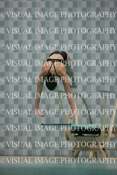 wiswg09_dive_1034