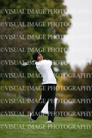 ILGF_13_T306024