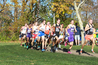 ILXC_14_30011