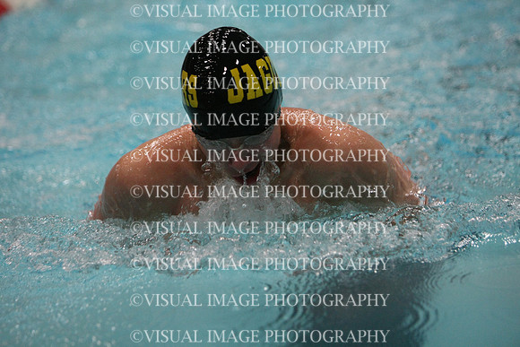 wisw10_1breast_2011