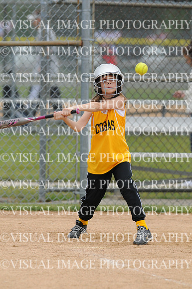 LMLL12_MUSTANG_G1018