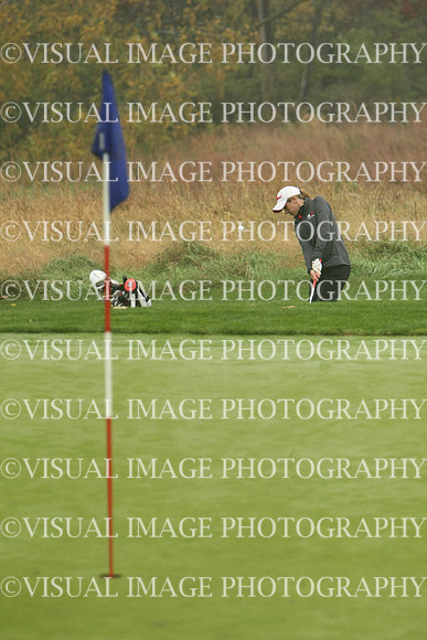 WIGFG_13_T106039