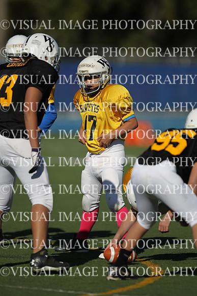 WSJFB_13_1034