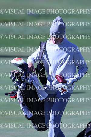 ILGF_24_T3120014