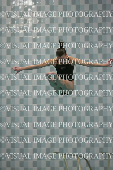 wiswg09_dive_1032