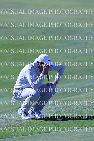 ILGF_24_T3120046