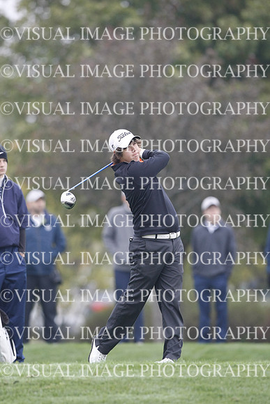 ILGF_13_T312031