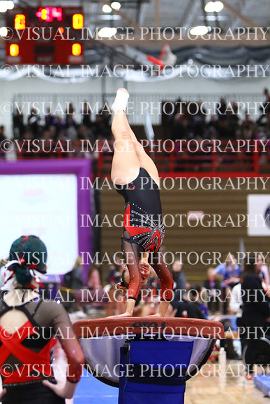 WIGYMG25_VAULT_T028