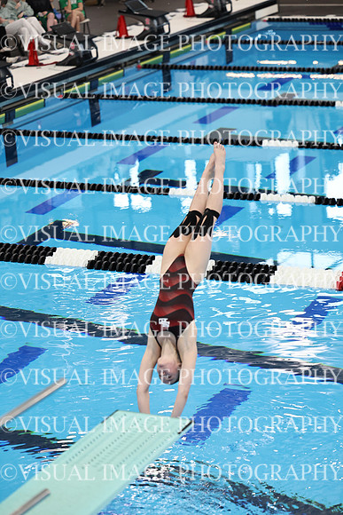 ILSWG24_DIVE_F0035