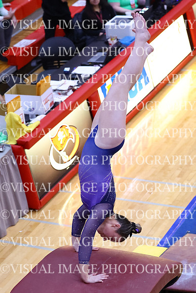 ILGYMG25_VAULT_P0013