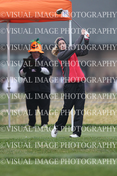 ILGFG_13_IND10009