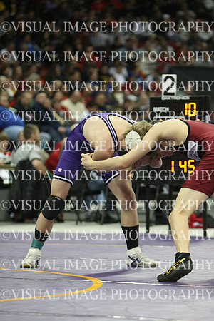 wiwr10_145_s2013