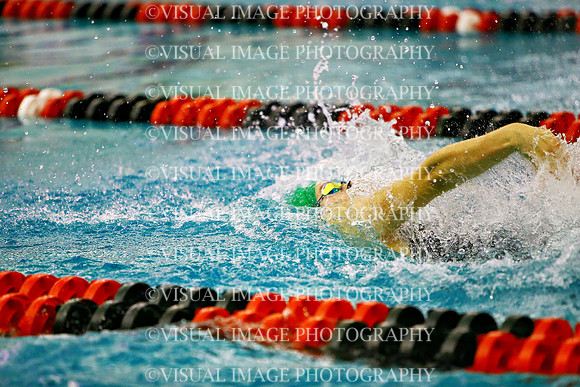 WISWG_24_S20033