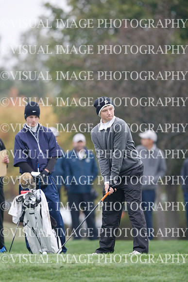 ILGF_13_T308013