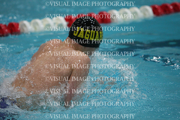 wisw10_2med_2033